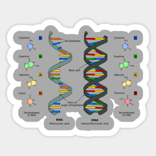 DNA Theory Sticker